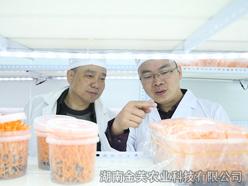 衡陽縣領(lǐng)導(dǎo)蒞臨指導(dǎo)工作