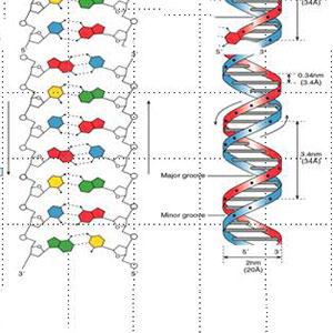 湖南金芙農(nóng)業(yè)科技有限公司,羊肚菌,蛹蟲(chóng)草鮮品,蛹蟲(chóng)草干品,蟲(chóng)草超微粉,蟲(chóng)草酒哪里好