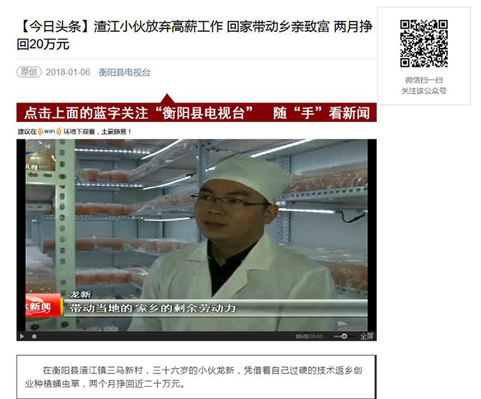 湖南金芙農(nóng)業(yè)科技有限公司,羊肚菌,蛹蟲(chóng)草鮮品,蛹蟲(chóng)草干品,蟲(chóng)草超微粉,蟲(chóng)草酒哪里好