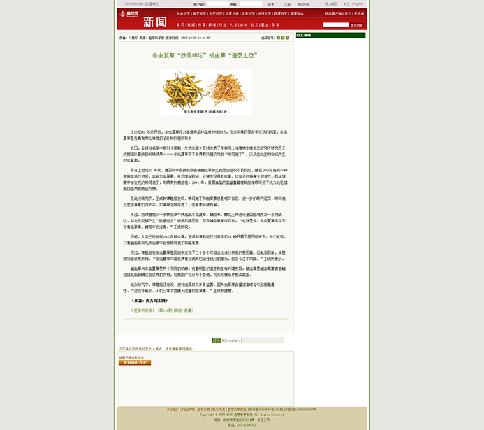 湖南金芙農(nóng)業(yè)科技有限公司,羊肚菌,蛹蟲(chóng)草鮮品,蛹蟲(chóng)草干品,蟲(chóng)草超微粉,蟲(chóng)草酒哪里好