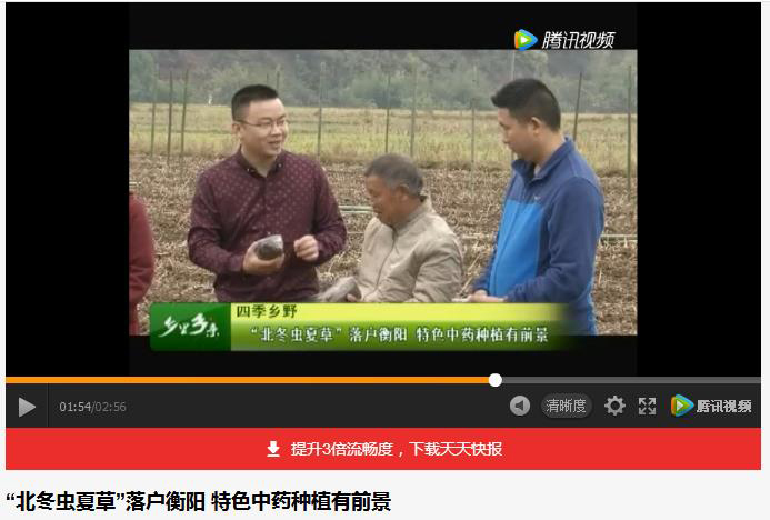 湖南金芙農(nóng)業(yè)科技有限公司,羊肚菌,蛹蟲(chóng)草鮮品,蛹蟲(chóng)草干品,蟲(chóng)草超微粉,蟲(chóng)草酒哪里好