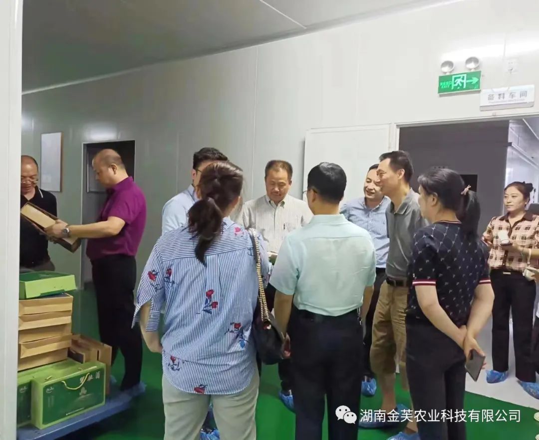 湖南金芙農(nóng)業(yè)科技有限公司,湖南蛹蟲草,湖南羊肚菌,蛹蟲草,羊肚菌,龍新,蟲草酒哪里好,衡陽(yáng)食用菌,衡陽(yáng)羊肚菌,衡陽(yáng)蛹蟲草