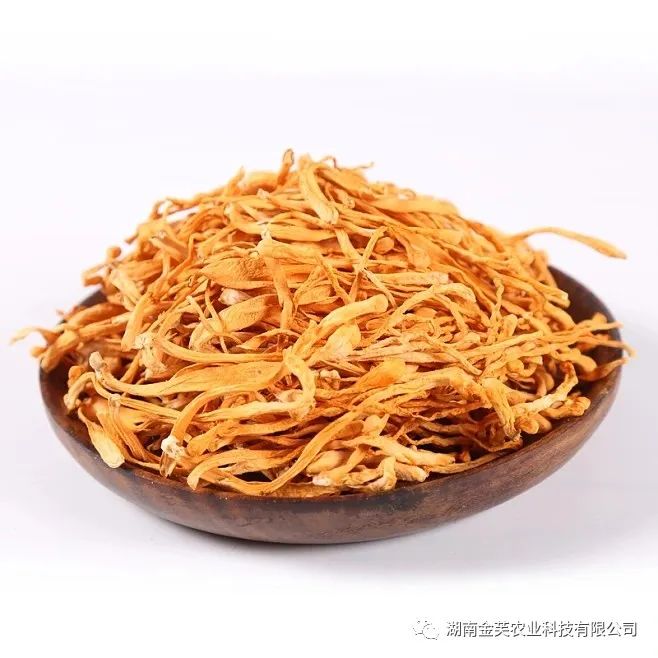 湖南金芙農(nóng)業(yè)科技有限公司,湖南蛹蟲草,湖南羊肚菌,蛹蟲草,羊肚菌,龍新,蟲草酒哪里好,衡陽食用菌,衡陽羊肚菌,衡陽蛹蟲草